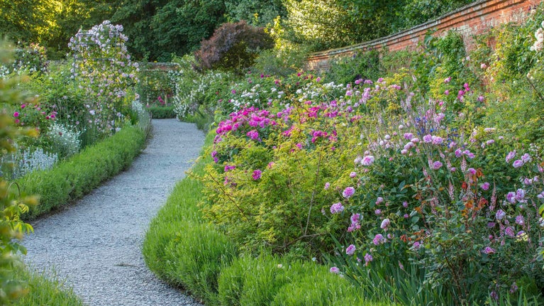 A path curves through the Rose Garden in June at Mottisfont, Hampshire.